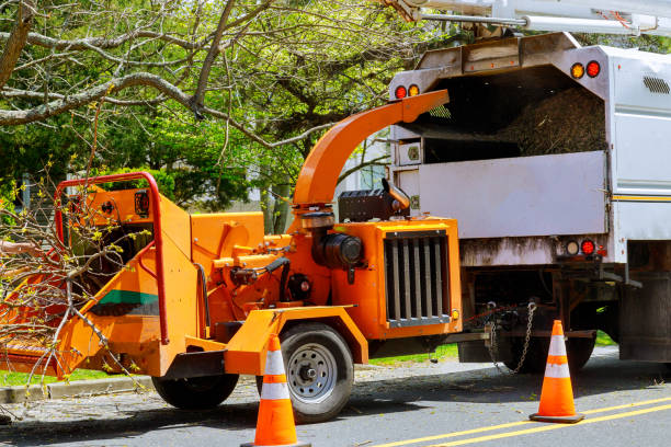 Best Tree Mulching  in Grand Ledge, MI